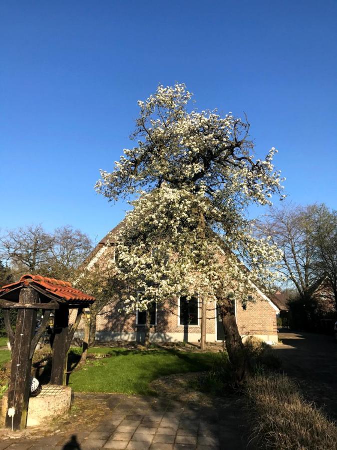 In De Tuin In Gees Exterior foto